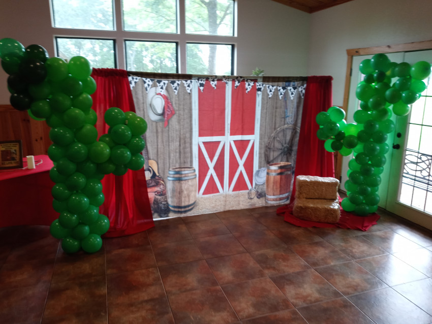 Hire D'Elegance Of Event Planning &Decorating Party Decor in