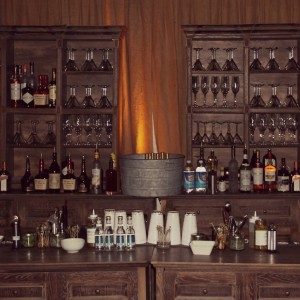 Deluxe Bartending Catering and Entertainment