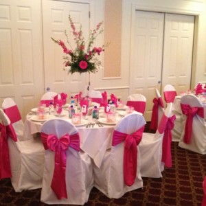 DeMarco's Party Solutions - Linens/Chair Covers / Party Rentals in Riverview, Florida