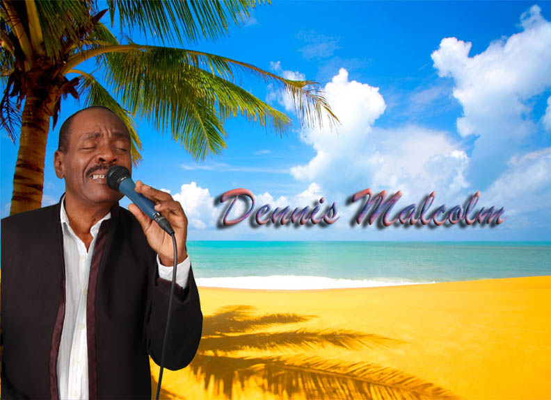 Hire Dennis Malcolm Singer/Songwriter in Atlanta,