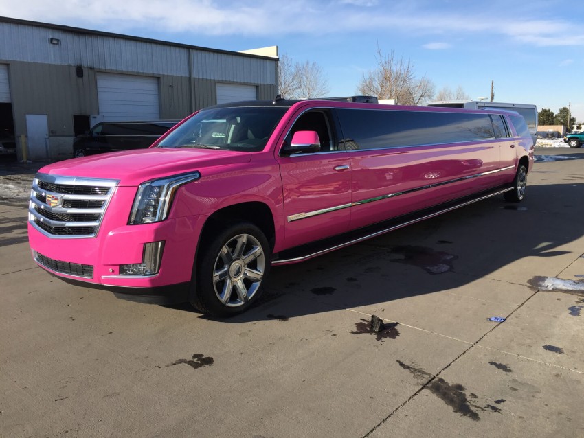 Gallery photo 2 of Denver Limo and Party Bus