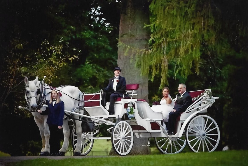 Gallery photo 1 of Destiny Horse and Carriage