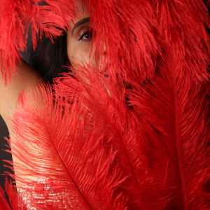 Dezere Raqs - Belly Dancer in Jamaica, New York