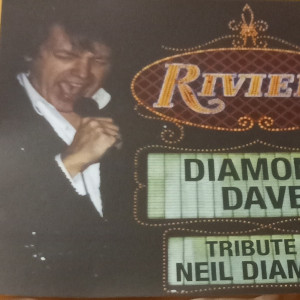 Diamond Dave - Rock & Roll Singer in Fort Lauderdale, Florida