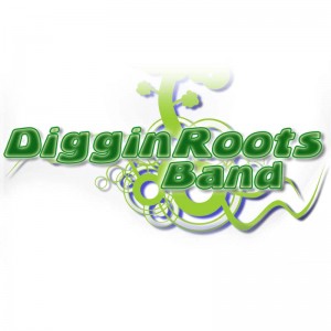 Diggin' Roots Band - Blues Band in Olean, New York