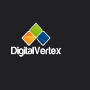 Digital Vertex Web Design Company