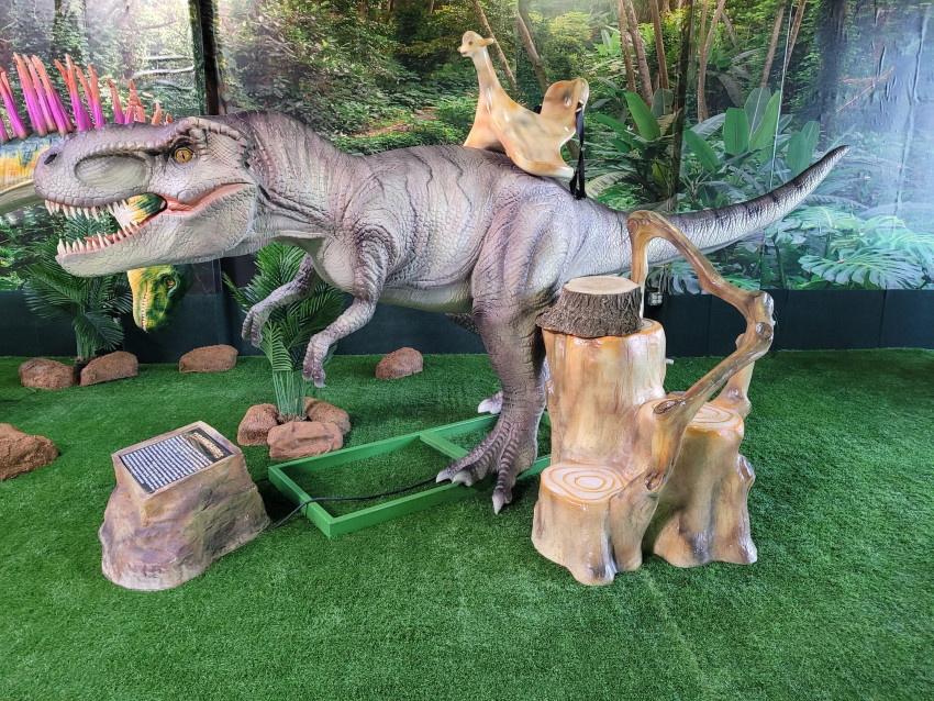 Gallery photo 1 of Dino-Mite Vendor Show