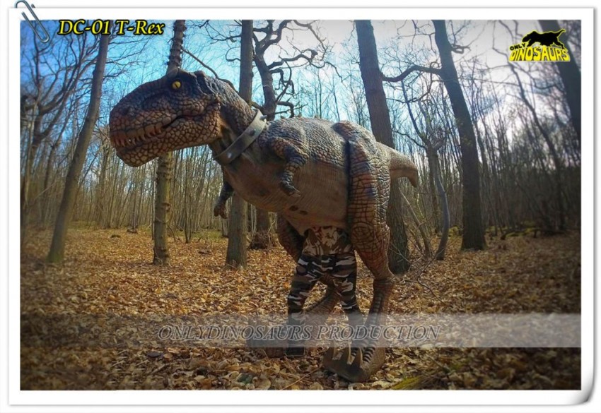 Gallery photo 1 of Dinosaur Character Rental