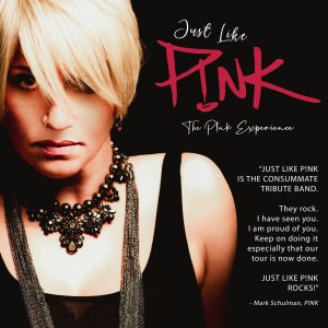 Just Like P!nk - Tribute Band in Dallas, Texas