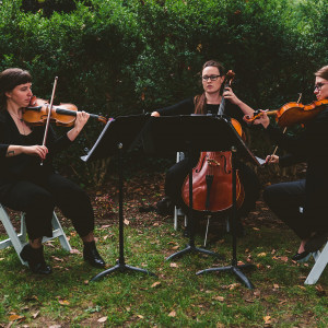 District Strings - String Quartet / Wedding Musicians in Washington, District Of Columbia