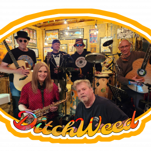 DitchWeed Acoustic Project - Acoustic Band / Blues Band in Indianapolis, Indiana