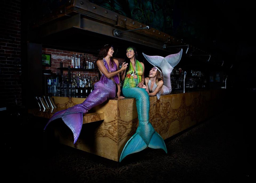 Hire Dive Bar Mermaids Mermaid Entertainment in Sacramento, California