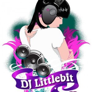 DJ Littlebit - Wedding DJ in Sarasota, Florida