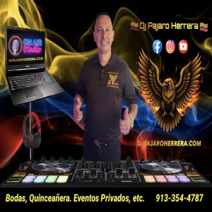 Dj Pajaro Herrera - Wedding DJ / Wedding Entertainment in Olathe, Kansas