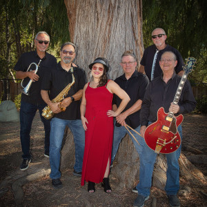 Dolce - Party Band / Halloween Party Entertainment in Saratoga, California