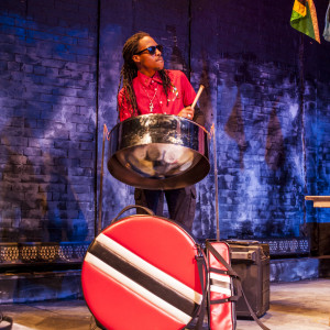 DoMo The Jack of All Trades - Steel Drum Player / Calypso Band in Manhattan, New York