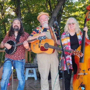 Donner Party String Band - Acoustic Band in St Louis, Missouri