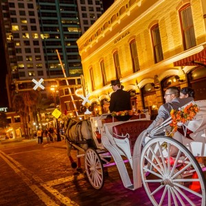 Downtown Horse and Carriage - Horse Drawn Carriage in Melbourne, Florida