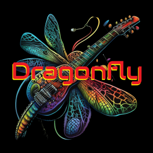 Dragonfly Band - Cover Band / College Entertainment in Toms River, New Jersey