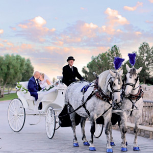 Dream Catchers Carriages - Horse Drawn Carriage in Bloomington, California