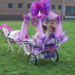 Dreamcatcher Carriage & Party Ponys - Pony Party in Sapulpa, Oklahoma