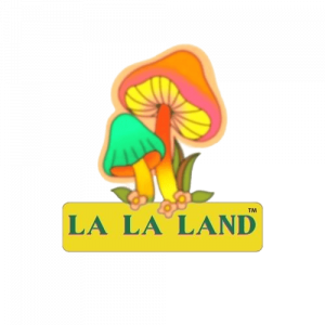 La La Land - Children’s Party Entertainment in Columbus, Ohio