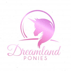 Dreamland Ponies - Pony Party in Maple Valley, Washington