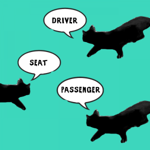 Driver Seat Passenger