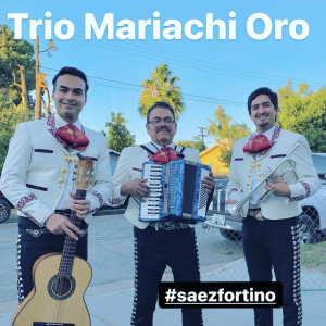 Trio Mariachi Oro - Wedding Singer in Baldwin Park, California