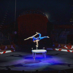 Duo Hand Balancing and Aerial Straps - Balancing Act in Harrisburg, Pennsylvania