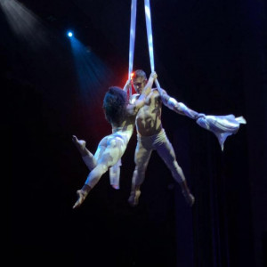 Duo Sweet Serendipity - Aerialist in Tampa, Florida