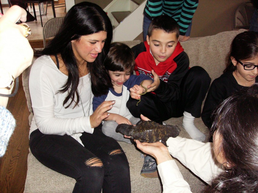 Hire E and J Reptile Shows & Rescue Animal Entertainment in