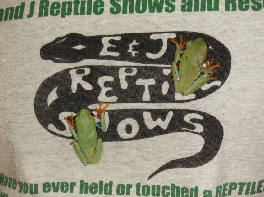 Hire E and J Reptile Shows & Rescue - Animal Entertainment in