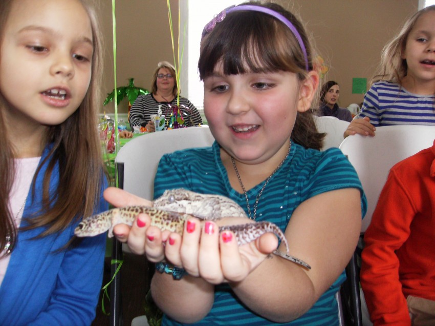 Hire E and J Reptile Shows & Rescue Animal Entertainment in