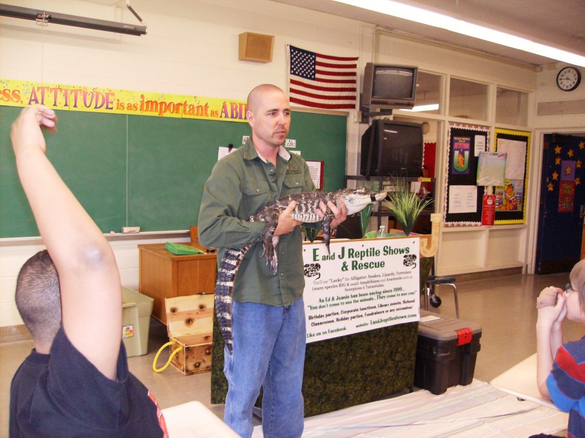 Hire E and J Reptile Shows & Rescue - Animal Entertainment in
