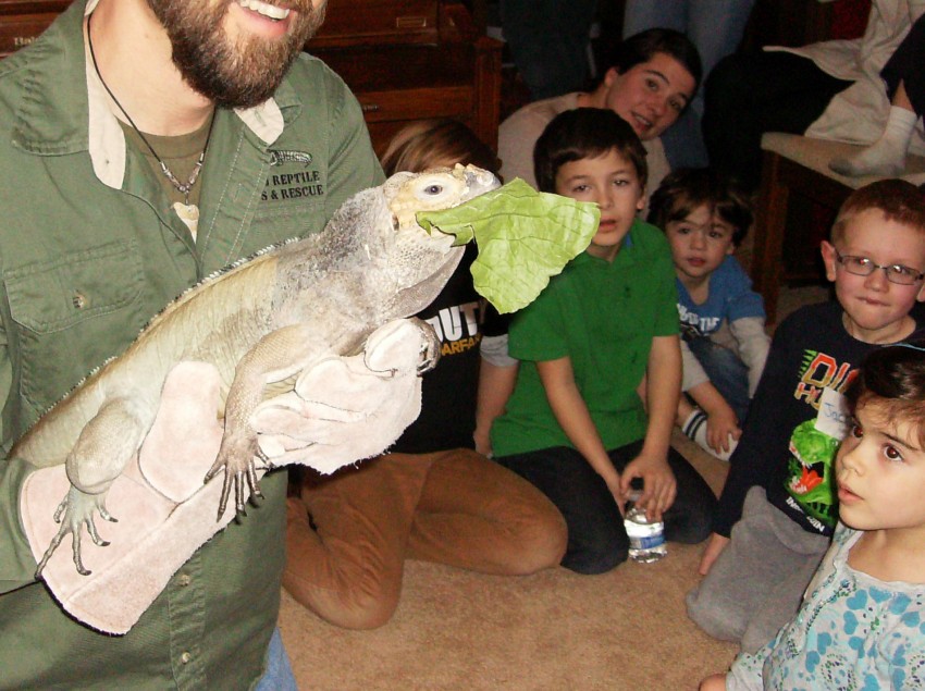 Hire E and J Reptile Shows & Rescue Animal Entertainment in