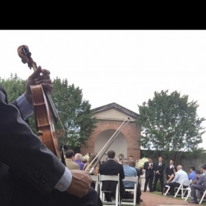 E Violinist - Violinist in Bowie, Maryland