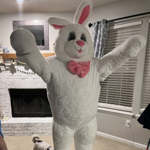 Easter Bunny - Easter Bunny in Carmel, Indiana