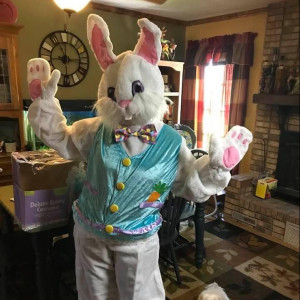 Easter Bunny - Costume Rentals / Children’s Party Entertainment in Goldsboro, North Carolina