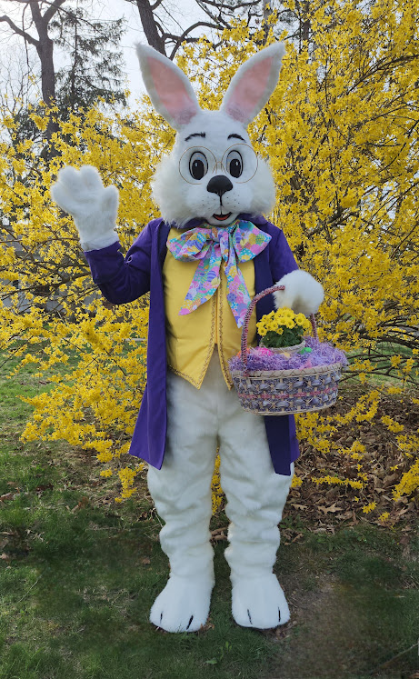 Gallery photo 1 of Spokane Easter Bunny