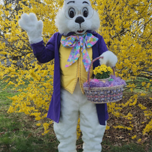 Spokane Easter Bunny - Easter Bunny in Spokane, Washington