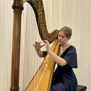 Edmonton Harpist