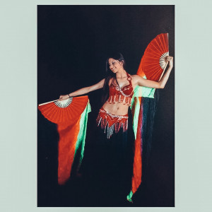 Ela Belly Dance - Belly Dancer / Latin Dancer in Cambridge, Massachusetts