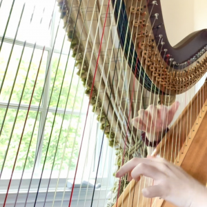 Elaine Guo Harpist - Harpist / Celtic Music in Princeton, New Jersey