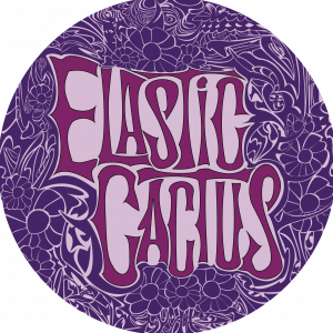 Elastic Cactus - Rock Band in Austin, Texas