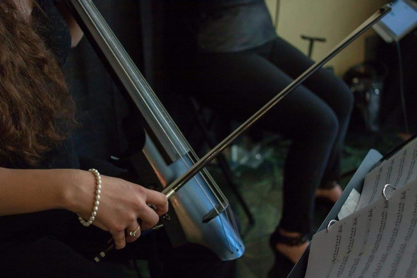 Hire Electria String Quartet in Louisville, Kentucky