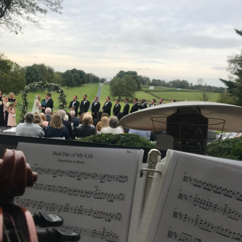 Hire Electria String Quartet in Louisville, Kentucky