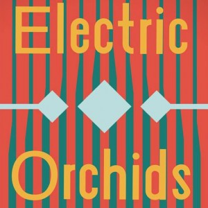 Electric Orchids - Indie Band in Kansas City, Missouri