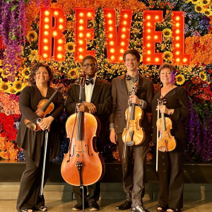 Elegant Entertainment - String Quartet / Wedding Musicians in Dayton, Ohio