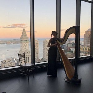 Stephanie Babirak, Harpist